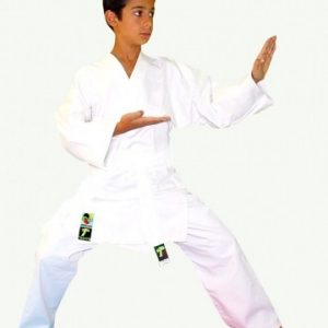 Karategui Entreno 220